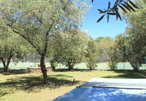 Outdoor Pictures 10