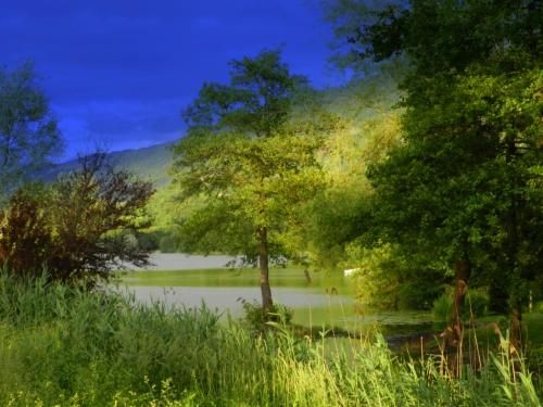 Outdoor Pictures 21