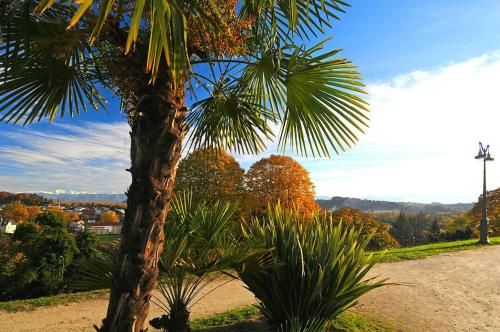 Outdoor Pictures 22