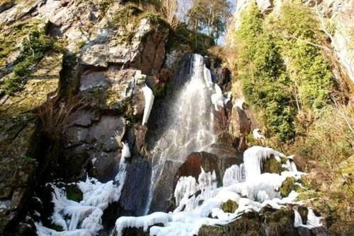 Outdoor Pictures 20