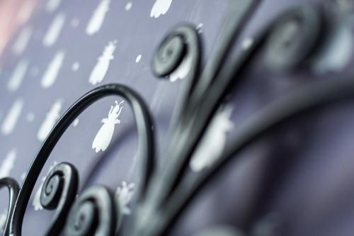 Outdoor Pictures 11