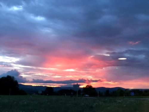 Outdoor Pictures 22