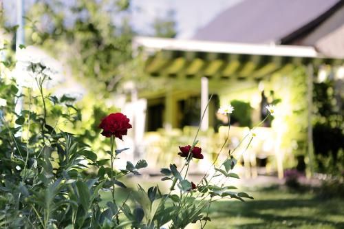 Outdoor Pictures 20