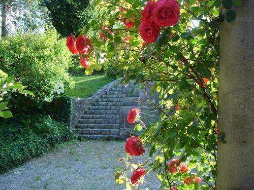 Outdoor Pictures 15