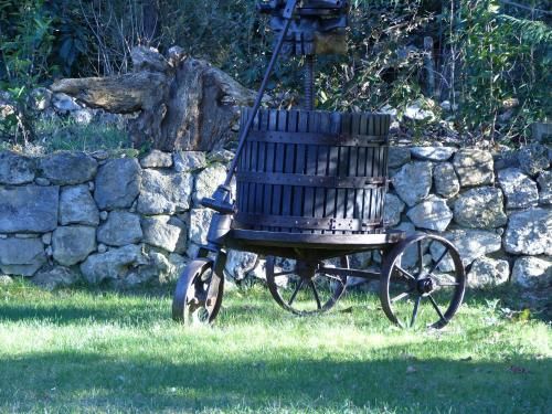 Outdoor Pictures 24