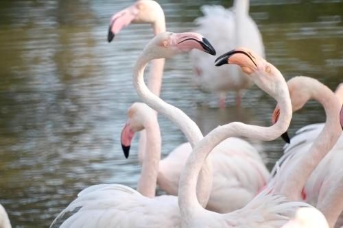 Outdoor Pictures 22