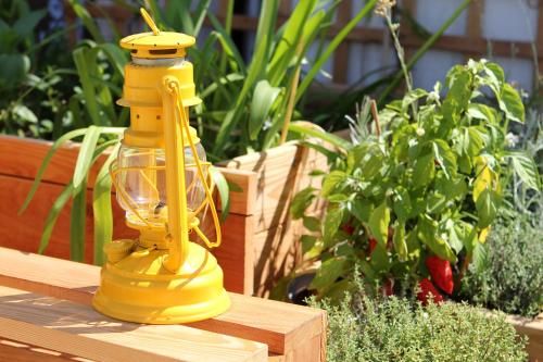 Outdoor Pictures 21