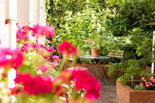 Outdoor Pictures 21