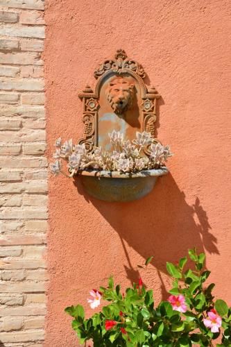 Outdoor Pictures 24