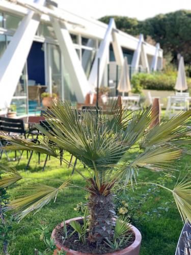Hôtel Saint-Clair, côté Plage