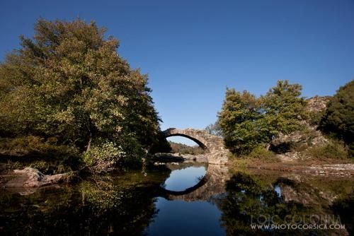 Outdoor Pictures 21