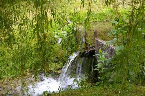 Outdoor Pictures 20