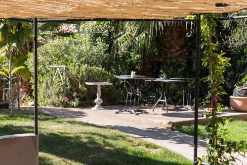 Outdoor Pictures 21