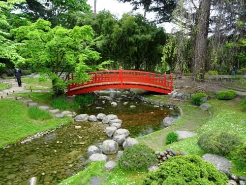 Outdoor Pictures 21