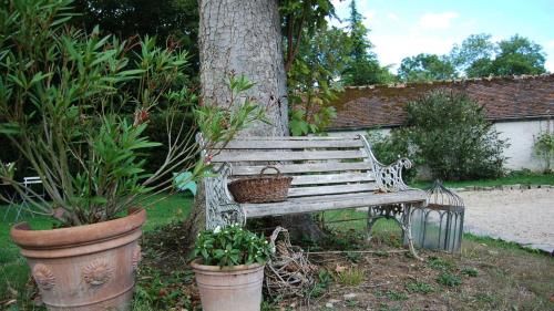 Outdoor Pictures 17