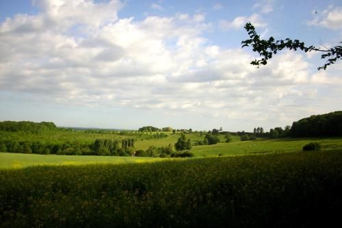 Outdoor Pictures 18