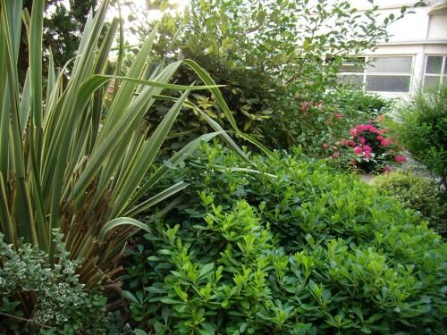 Outdoor Pictures 21