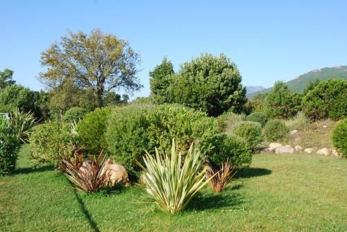 Outdoor Pictures 16