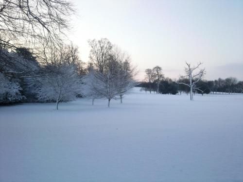 Outdoor Pictures 22