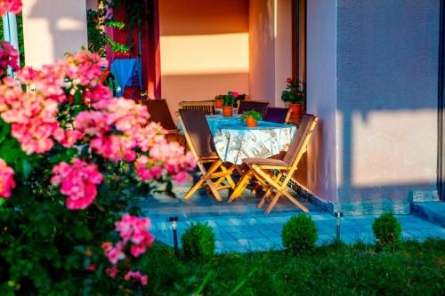 Outdoor Pictures 7