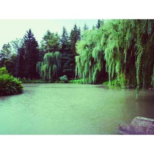 Outdoor Pictures 21