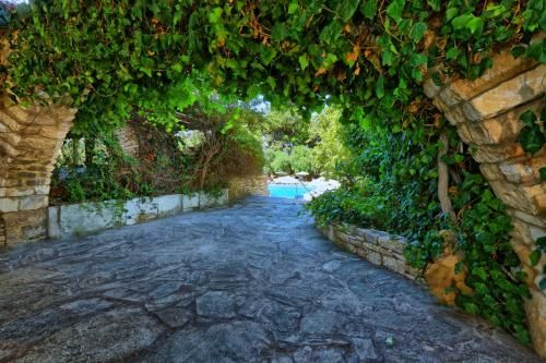Outdoor Pictures 17