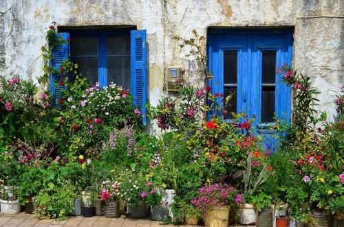 Outdoor Pictures 20