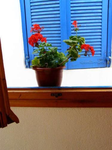 Outdoor Pictures 11