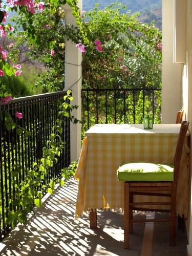 Outdoor Pictures 20