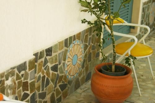 Outdoor Pictures 10