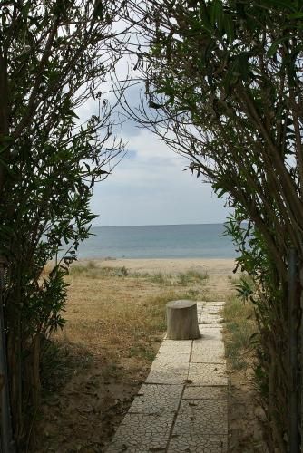 Outdoor Pictures 16