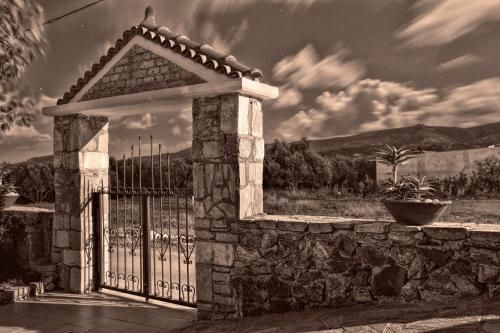 Outdoor Pictures 24