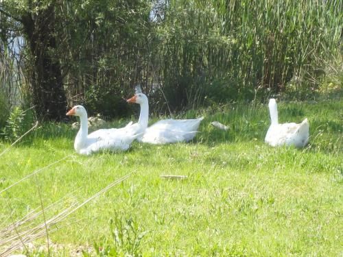 Outdoor Pictures 21