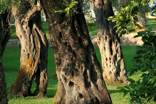 Outdoor Pictures 15
