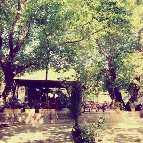 Hotel Zachos