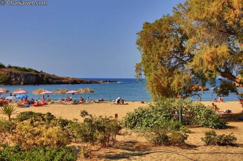 Outdoor Pictures 20