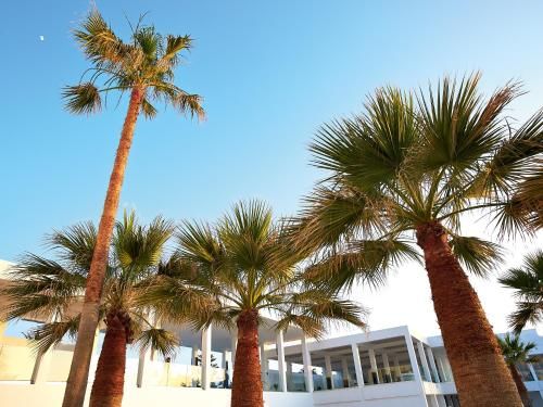 Grecotel LUX.ME White Palace​
