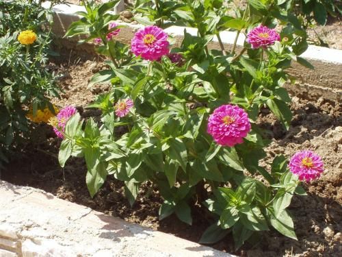 Outdoor Pictures 22
