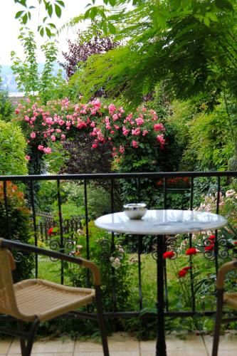 Outdoor Pictures 12