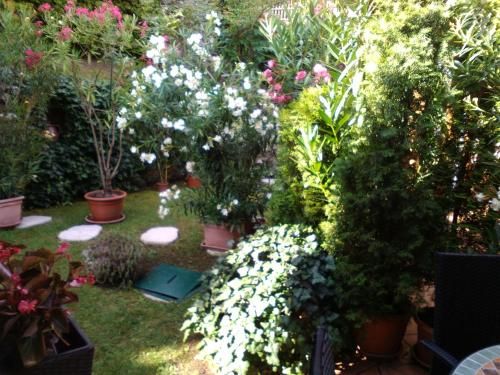 Outdoor Pictures 22