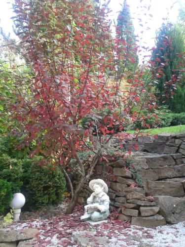 Outdoor Pictures 23