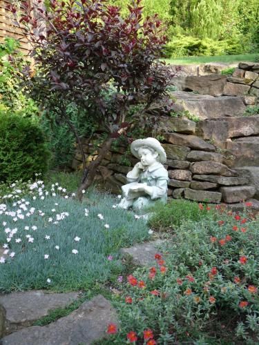 Outdoor Pictures 22