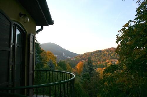 Outdoor Pictures 21