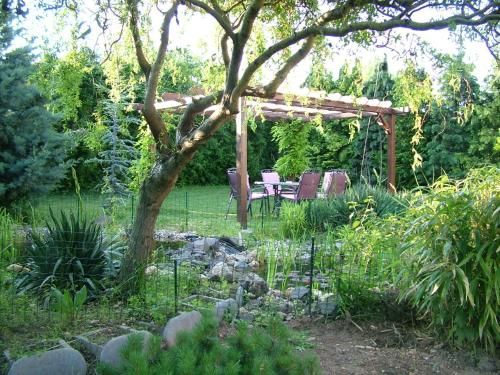 Outdoor Pictures 22