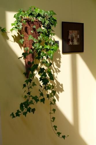 Outdoor Pictures 15