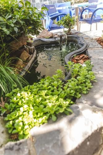 Outdoor Pictures 22