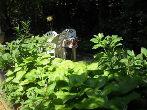 Outdoor Pictures 22