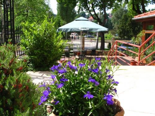 Outdoor Pictures 24
