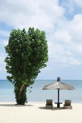 Outdoor Pictures 24
