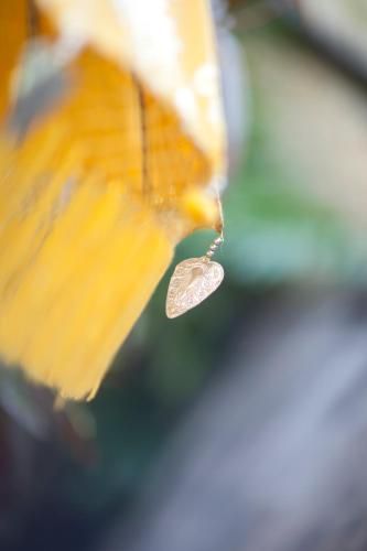 Outdoor Pictures 21